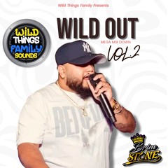 WILD OUT MEGA MIX DOWN VOL.2