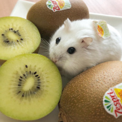 Cardi B and Selena Gomez - Pick it up (rework)