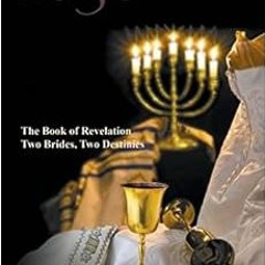 GET [EPUB KINDLE PDF EBOOK] Lost in Translation Vol. 3: The Book of Revelation: Two Brides Two Desti