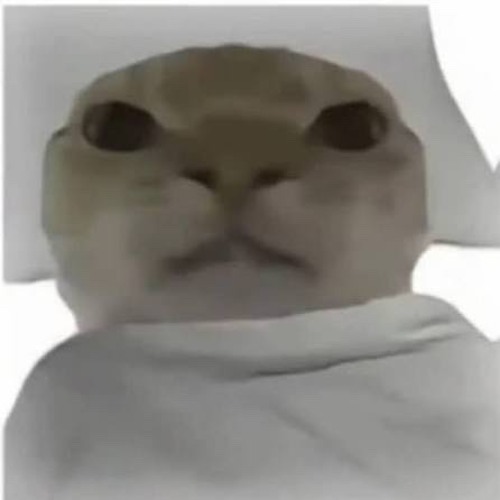 Wake Up Hajimi - 哈基米起床 ( Flower Garden )