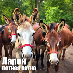 потная катка