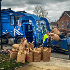 Pro Strategies for Smarter Yard Waste Cleanup in Portland Homes