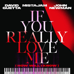David Guetta, Mistajam, John Newman - If You Really Love Me (How Will I Know) (Just Rob Remix)