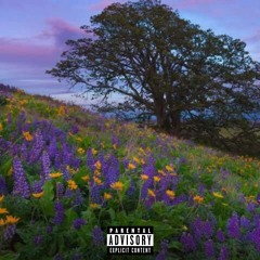 WhyUFeelThisWay - JED!  (prod Akira + Max Vossberg)