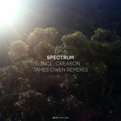 DP-6 - Spectrum (Original Mix) [DR196]