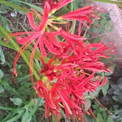 Falling From The Sky (prod. YAKUZY)