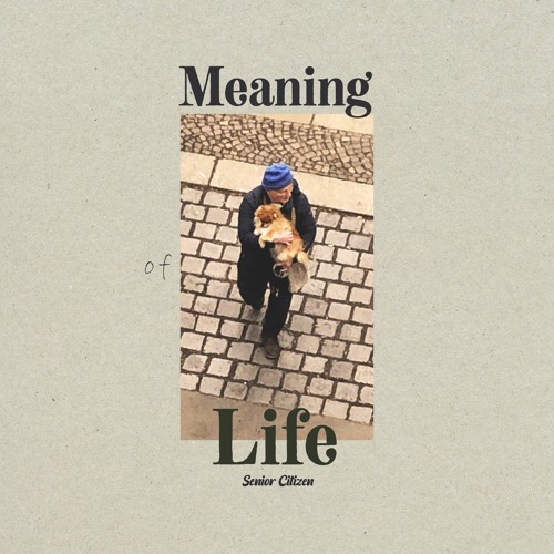 Meaning Of Life (Dub Version)