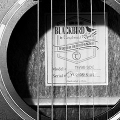 This ol' Tanglewood