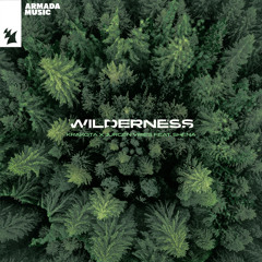 Wilderness (feat. Shena)