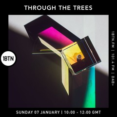 Ty : Through The Trees - 07.01.24