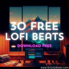 30 Free LoFi Beats For YouTube Videos (Link In Description)