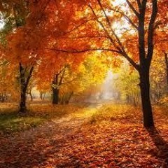 All Fall Down