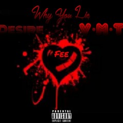 Why You Lie (feat Desire & Fee)