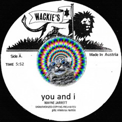 Wayne Jarrett - You And I - Remix