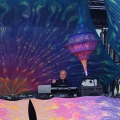 FeelSonic auf dem Wurzelfestival 24 Wurzelfloor.mp3