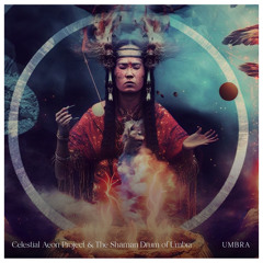 The Shaman Drum
