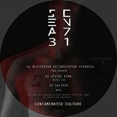 Premiere: Paul Birken - Blatteroon Extinguishing Ataraxia [Scena_731 Recordings]