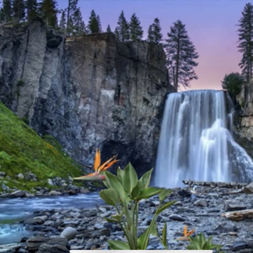 Edward Maya Style & Anas Otman & Arozin Sabyh Love Story