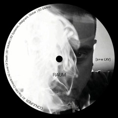 RAUM - SAAHA [Premiere | a+w LXV]