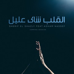 القلب شاك عليل | Heart is crying with sickness Feat.Adham Nassef