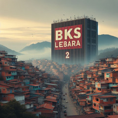 BKS - Lebara 2