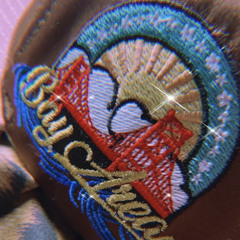 natives by the bay. feat. Cochise MC