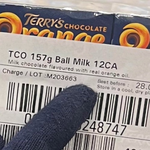 Stream Fat Moose 🌙 by roadblok 🦊 Listen online for free on SoundCloud