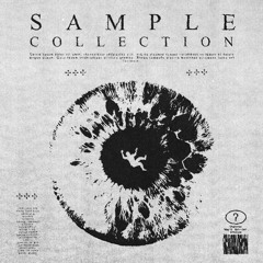 COLLECTION 01 ⥅ SAMPLE COLLECTION