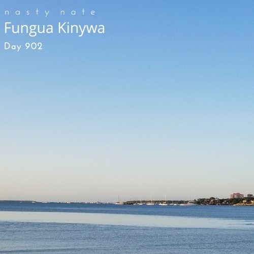 Stream n a s t y n a t e - Fungua Kinywa. Day 902 - AFRO HOUSE by nasty