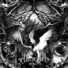 SVØX - SPLIT BETWEEN WALLS