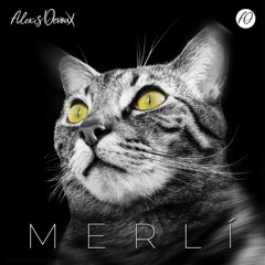 MERLÍ