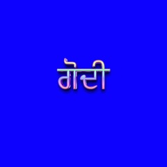 ਗੋਦੀ ਸ੍ਰੀ ਸਾਹਿਬ ਦੇਵੀ ਮਾਤਾ ਦੀ ਪਾਏ, ਭਜਨ ਕਰਨਾ ਸ਼ੁਰੂ ॥