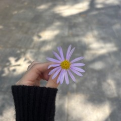 김채원-고백