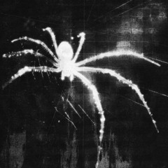 Runner prod.ninjayice