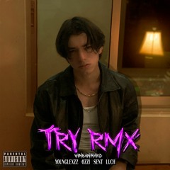 Try - Remix (feat. YoungLexzz, 0zzi, Sent, Luch.)