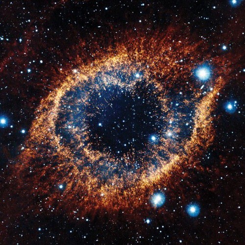Stars in their eyes!