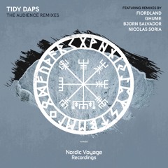 Tidy Daps - The Audience (Ghume Remix)