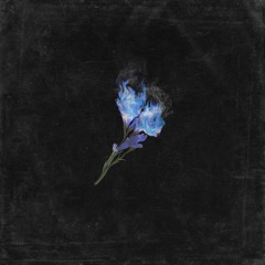 재  - [ Official Audio ]