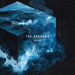 The Unknown (Original Mix)