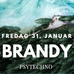 Psychedelicious by Brandy @ Ostara bar // Jan 2020