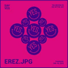 EREZ.JPG | SAY YES at TBA Brooklyn