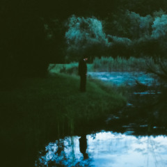 À l'étang des roseaux