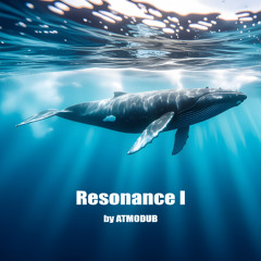 Resonance I (Ambient Dub Techno by Atmodub)