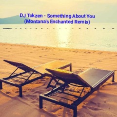 DJ Tokzen - Something About You (Montana's Enchanted Remix).mp3