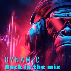 DYNAMIC - Back In Mix (Sample)