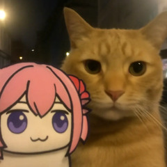 🎵太空曼波 𝑺𝒑𝒂𝒄𝒆 𝑾𝒂𝒍𝒌🎵哈基米纯音乐