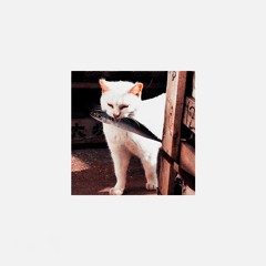 technowakeup x пепел юности - слишком бледное лицо