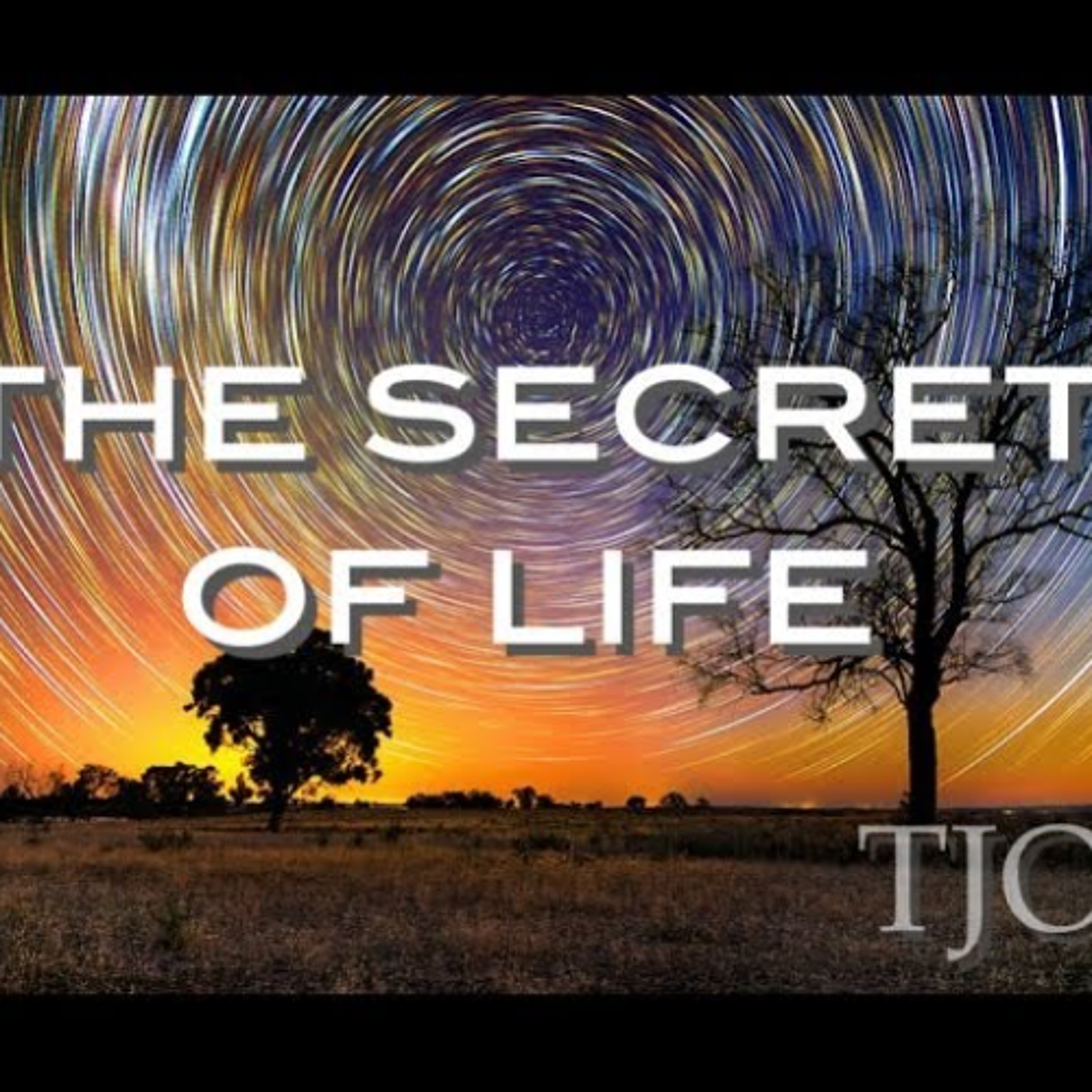 "The Secret of Life" - Alan Watts Talk clip episode artwork