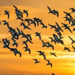 11 - Audio 0005 [2023 - 07 - 07 145837]