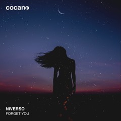 NIVERSO - Forget You